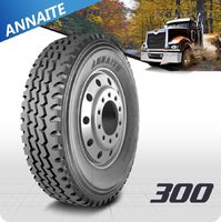 Шина 12.00 R24 300 20PR ANNAITE