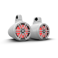 Корпусные влагозащищенные динамики с подсветкой 8" Rockford Fosgate M2WL-8 (250Вт/1000Вт)